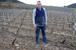 Les vignes, pour oublier l’usine