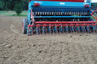 Au printemps, le semis sous  couvert des prairies est possible