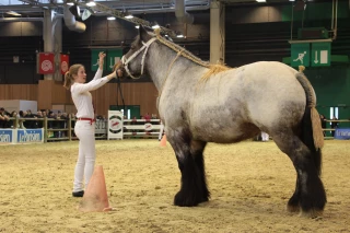 Quand tradition rime avec passion