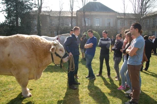 Le Préfet félicite les médaillés 