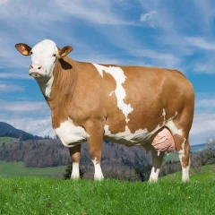 En force à Eurogénétique 