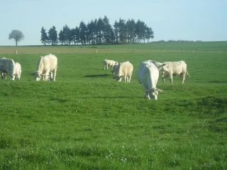 Les sommes de températures, ça sert à quoi ?