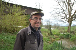 Vers la création d’un IGP Charolais de Bourgogne ?