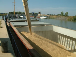 Blé et marchés exports: l’indispensable reconquête