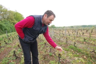 Vers une nouvelle année noire ?