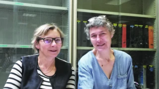Apprendre l’anglais  viticole à son rythme