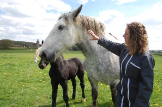 Les éleveurs manquent de moyens