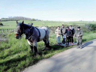 En selle pour équi-Trait-Jeunes