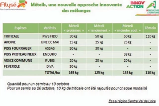 Méteils, les clés de la réussite