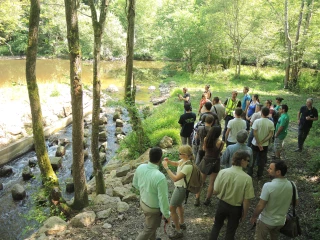 Pour laisser libre cours à la faune aquatique et à la vie