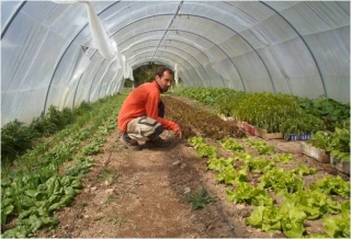 Tester son activité avant de se lancer