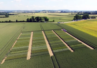 Avant la moisson, penser l’avenir ensemble 