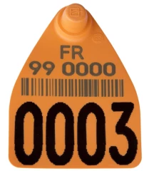 Une nouvelle boucle d’identification