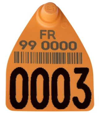 Une nouvelle boucle d’identification