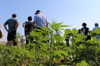 Les actions payantes de l’association de la Plaine de Saulce