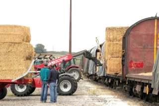 Cofarming: le «faire ensemble» en réseau