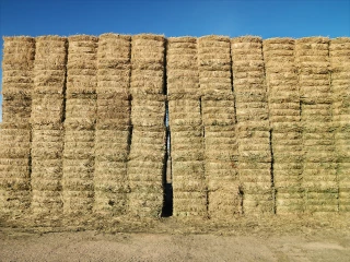 Édification des meules