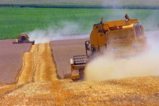 Les attentes des filières agricoles