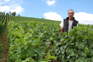 57000 bouteilles en moins de deux ans ?