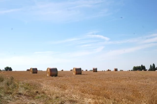 Premier bilan en demi-teinte