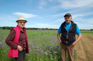 Safran: l’or rouge du Morvan
