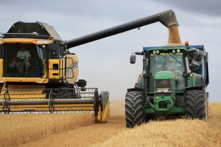 Des rendements moyens mais la qualité est là !