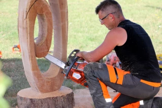 Le bois a fait la fête