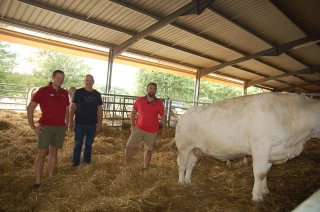 Le bon goût des Amognes