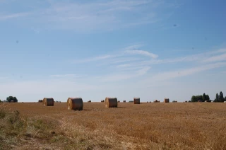 Une campagne satisfaisante