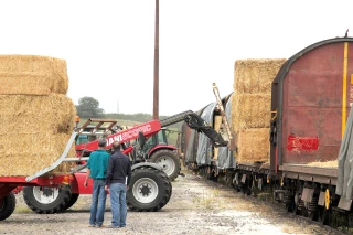 Cofarming : le «faire ensemble» en réseau