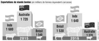 L’Inde redevient le premier exportateur mondial de viande bovine