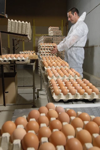 Le ministre se veut rassurant