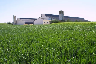 Une filière à développer 