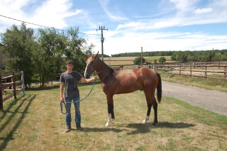 Daniel Burlin : éleveur par passion