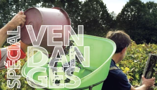 Dossier Spécial Vendanges