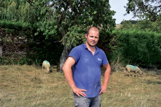 Conquis par le mouton charollais !