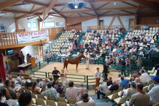 Une vitrine pour les futurs champions