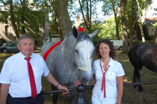 Les percherons sur leur 31 à Decize
