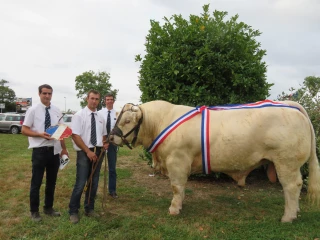Les départements de Bourgogne jouent gagnant