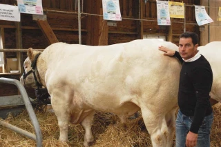 échanger, se montrer et commercer