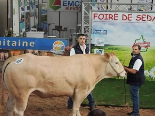 De retour de Sedan