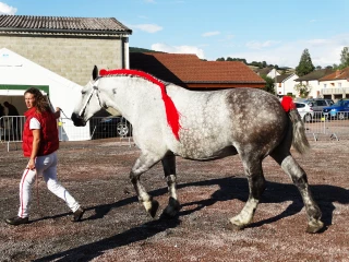 Une victoire au goût amer
