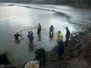 L’Apenibo au chevet des étangs