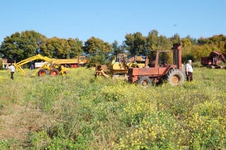 Saint-Loup à l’heure du rétro TP