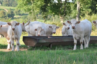 L’économie à l’épreuve du terrain