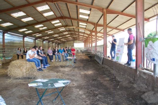 Les charges vétérinaires en question