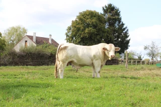 Première vente sous pli cacheté organisée par Sicagieb