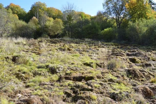 23ème journée Rivières :  la biodiversité s’entretient au quotidien