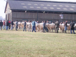 Une nouvelle édition au Marault