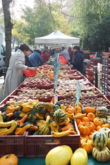 Marché des Terres de France